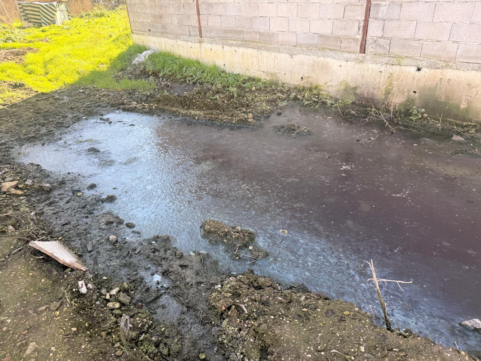 Whatsapp Image 2026 01 30 At 16.59.40