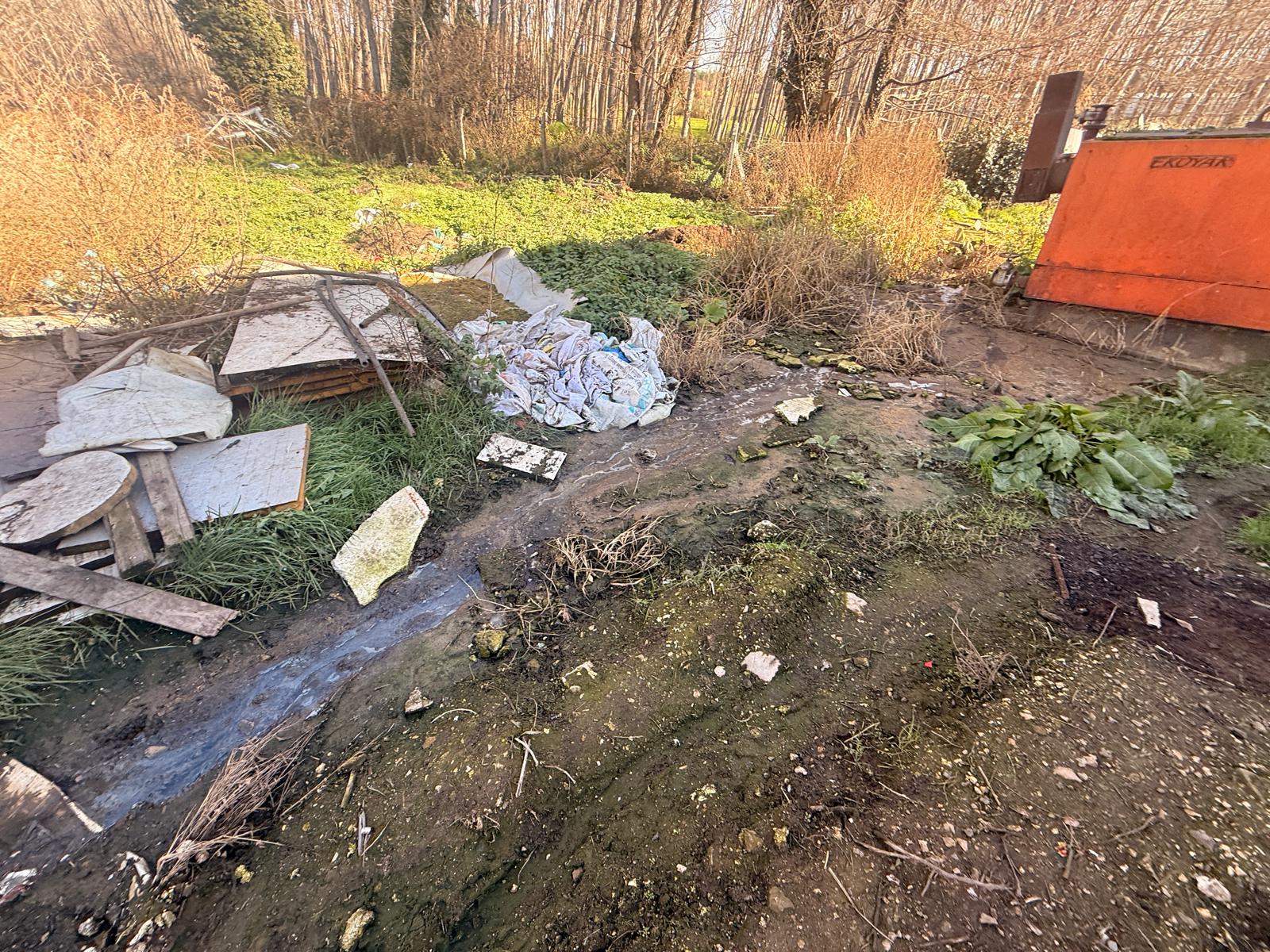 Whatsapp Image 2026 01 30 At 16.59.402