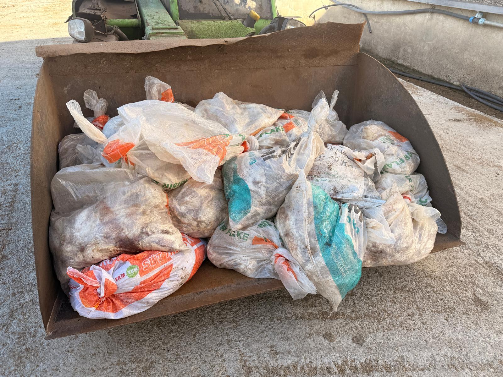 Whatsapp Image 2026 01 30 At 16.59.413