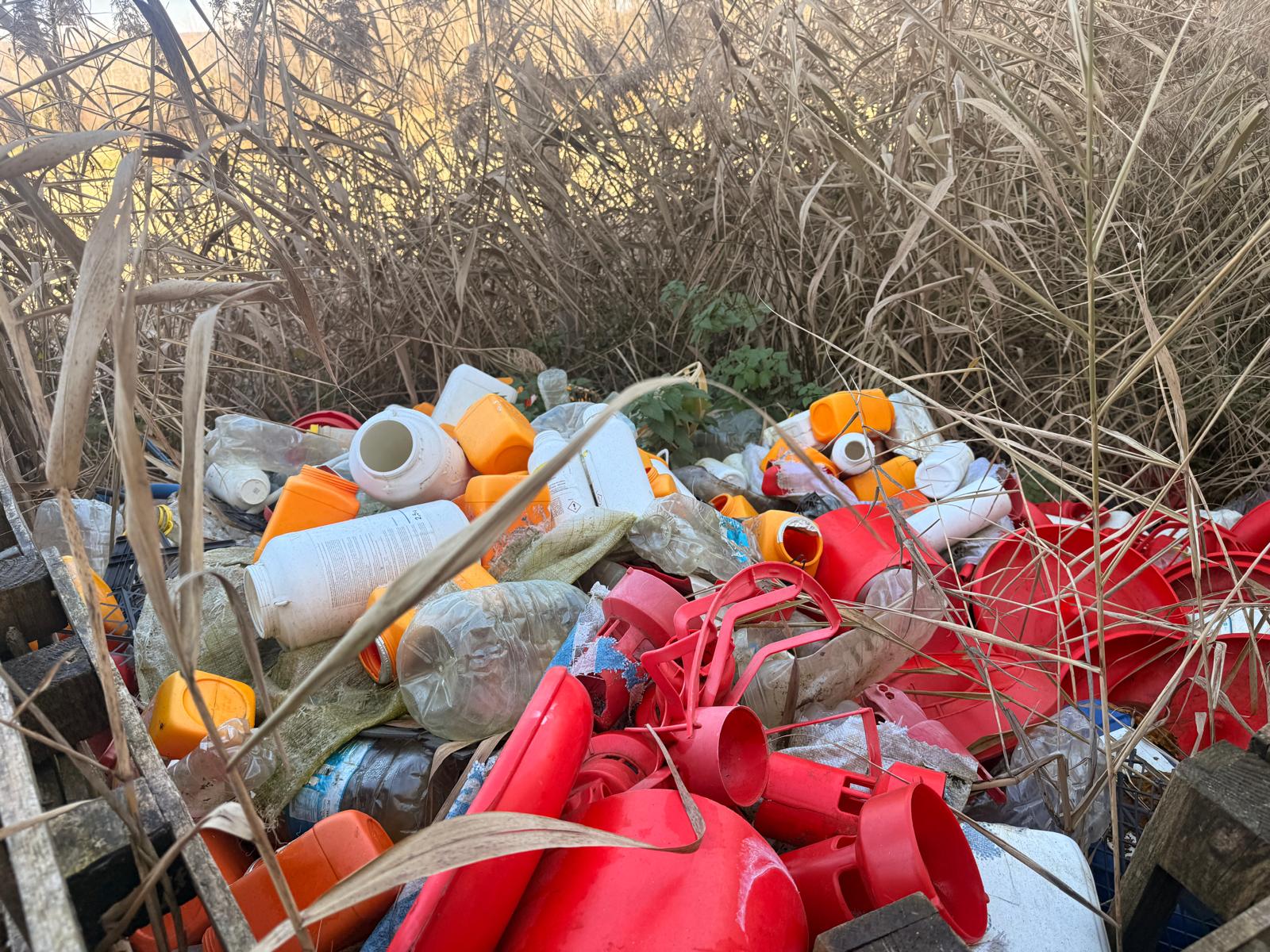 Whatsapp Image 2026 01 30 At 16.59.414