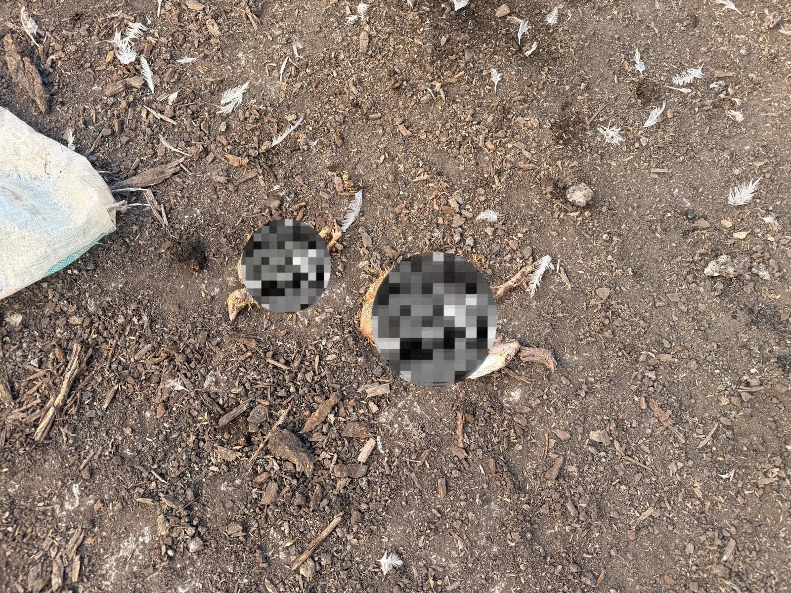 Whatsapp Image 2026 01 30 At 16.59.436