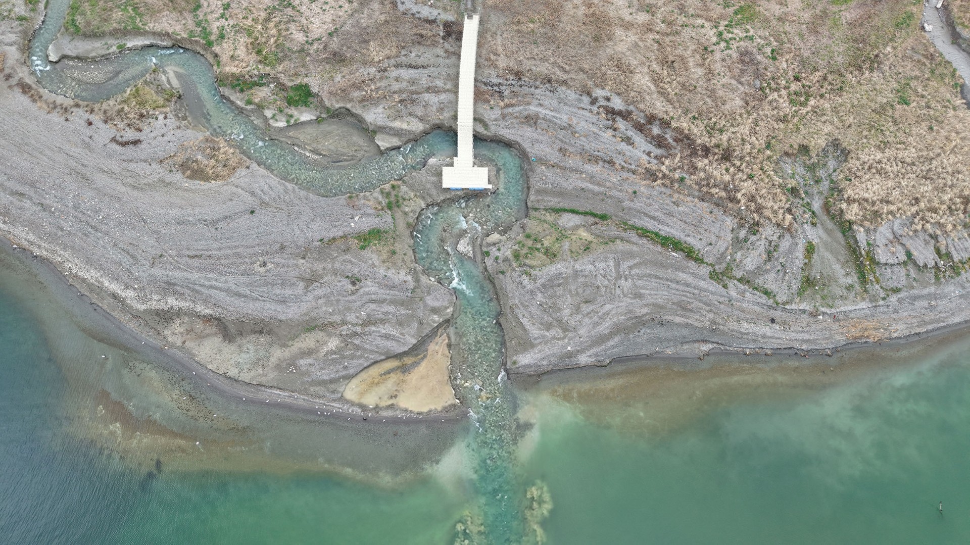 4Cec6683 1250 45E5 9F61 Fdbf05A7E709