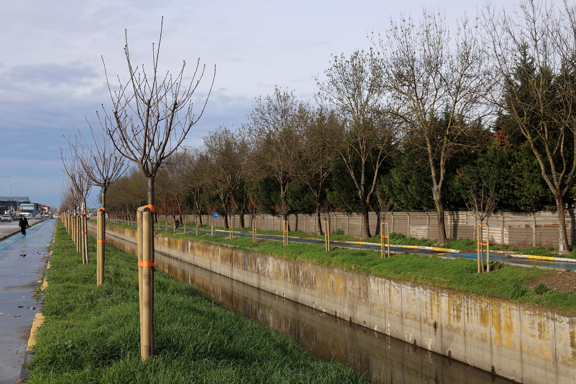 78C17Ebd A3Db 4Aac 9784 6D6541F32205