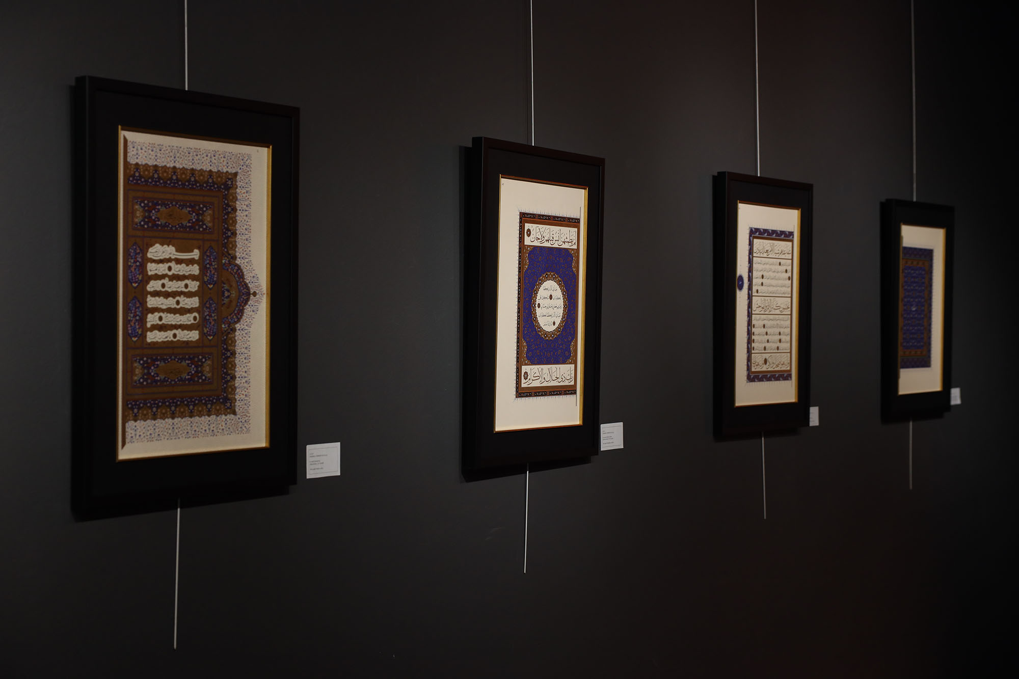 Dff8F0A6 3C45 4B89 91E4 01476E7Df845