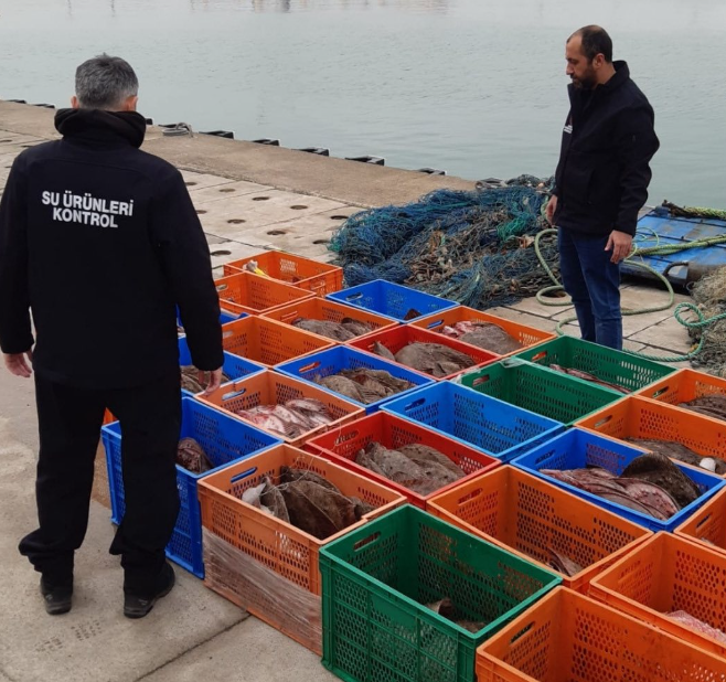 Ekran Görüntüsü 2026 02 16 231037