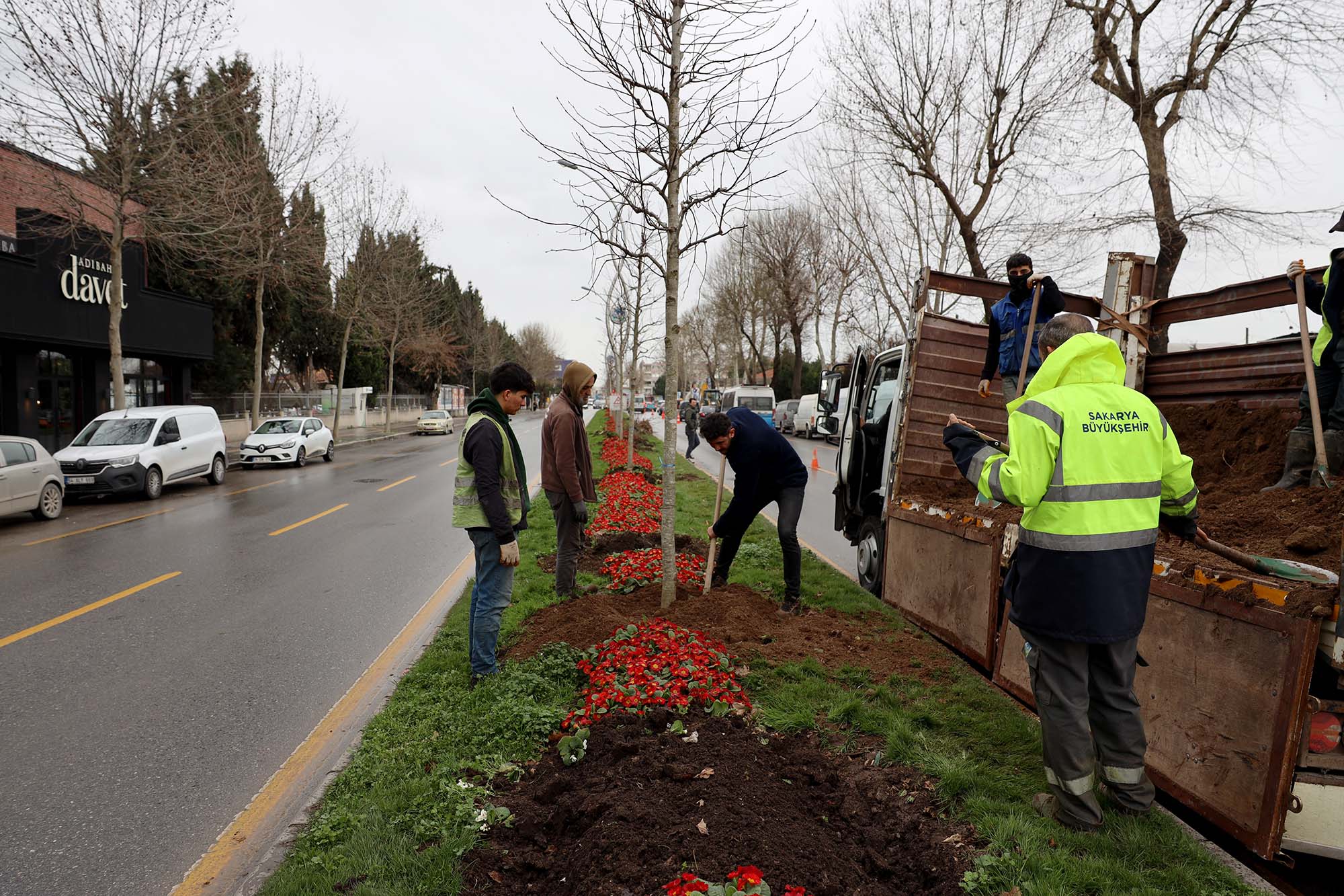 Fc51Ae47 93Db 4A5C 9069 7844D0Ceddab