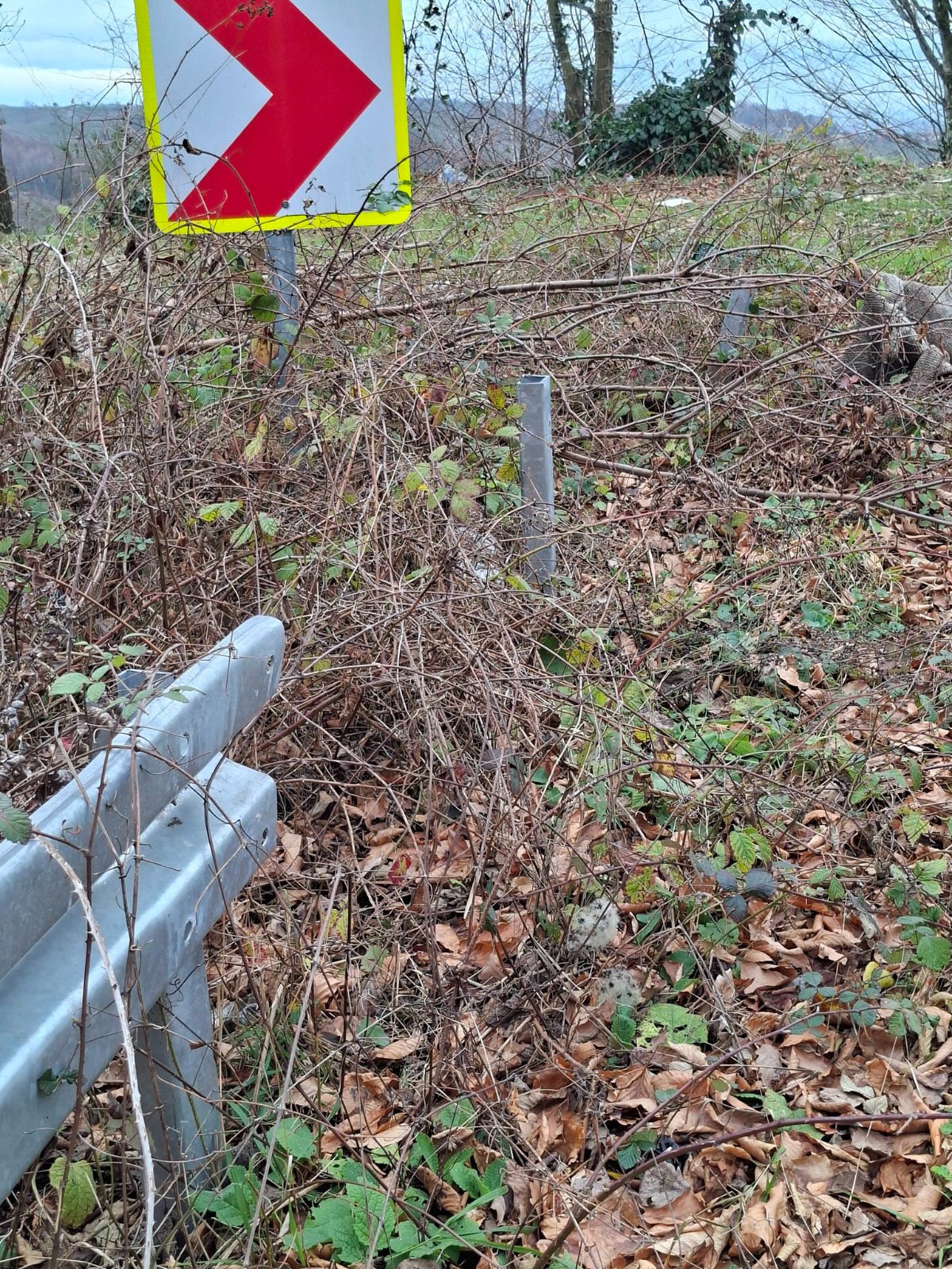 Whatsapp Image 2026 02 06 At 16.27.55