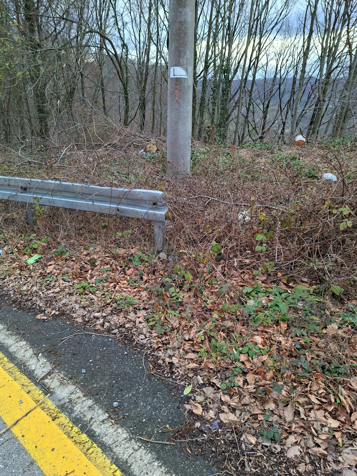 Whatsapp Image 2026 02 06 At 16.27.554