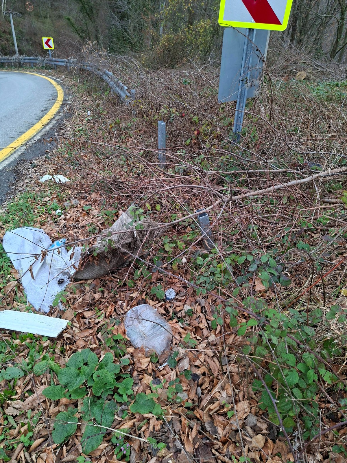 Whatsapp Image 2026 02 06 At 16.27.556