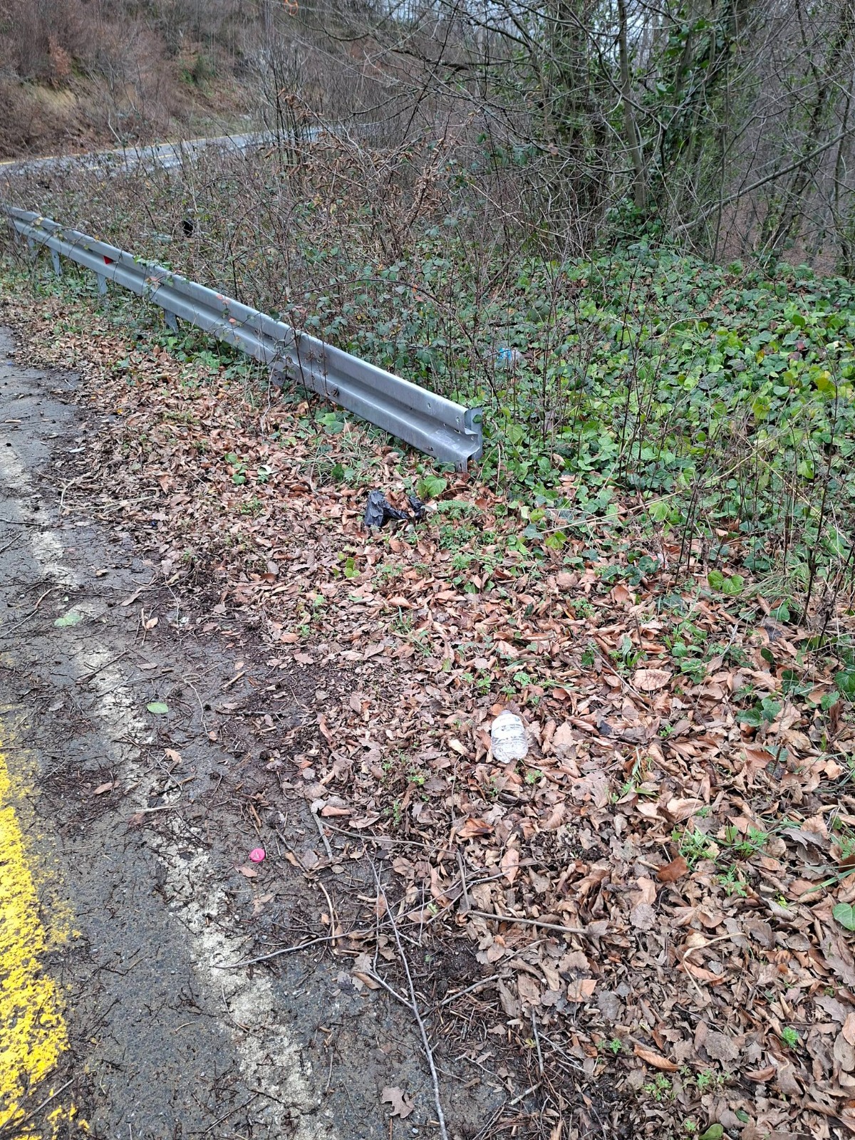 Whatsapp Image 2026 02 06 At 16.28.019