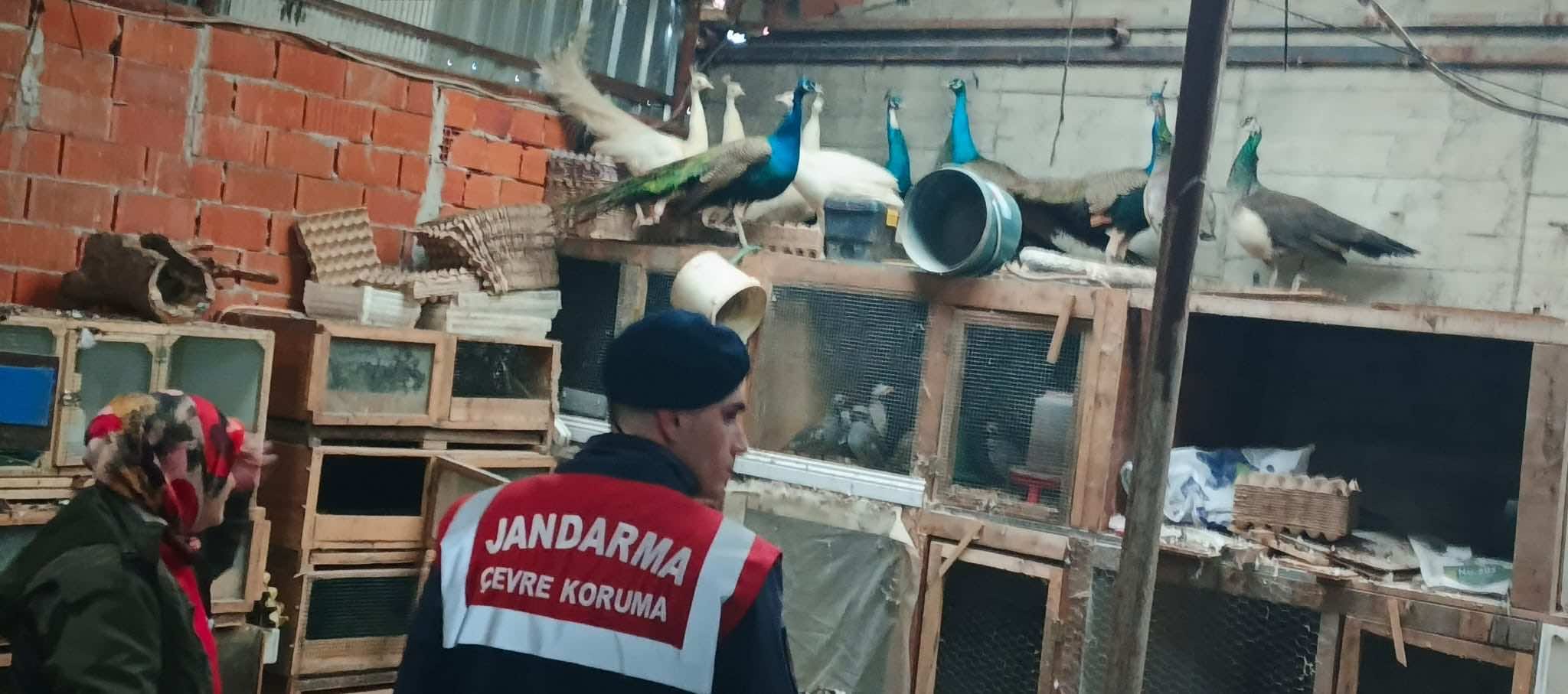 Whatsapp Image 2026 02 06 At 17.18.368