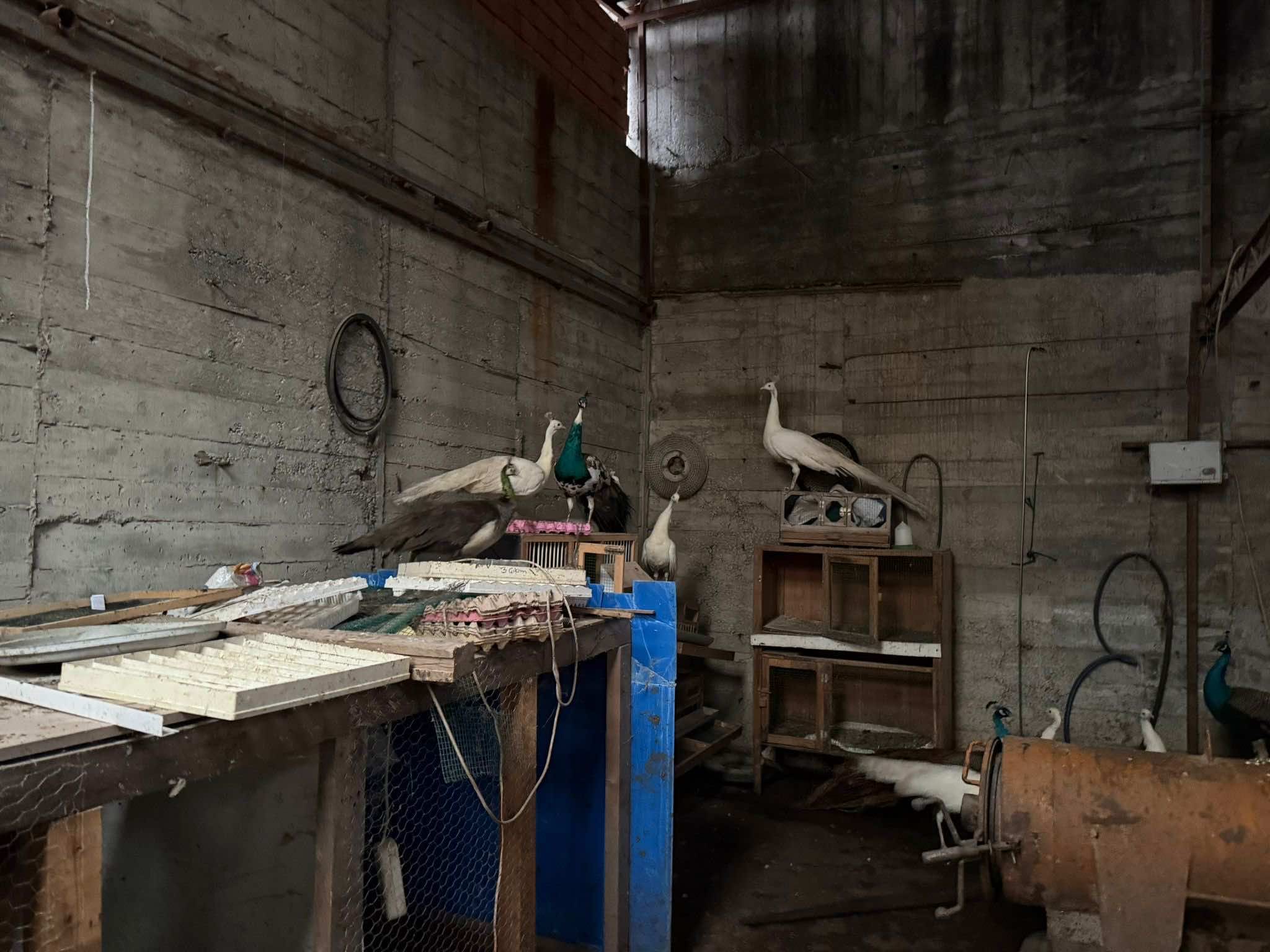 Whatsapp Image 2026 02 06 At 17.18.369