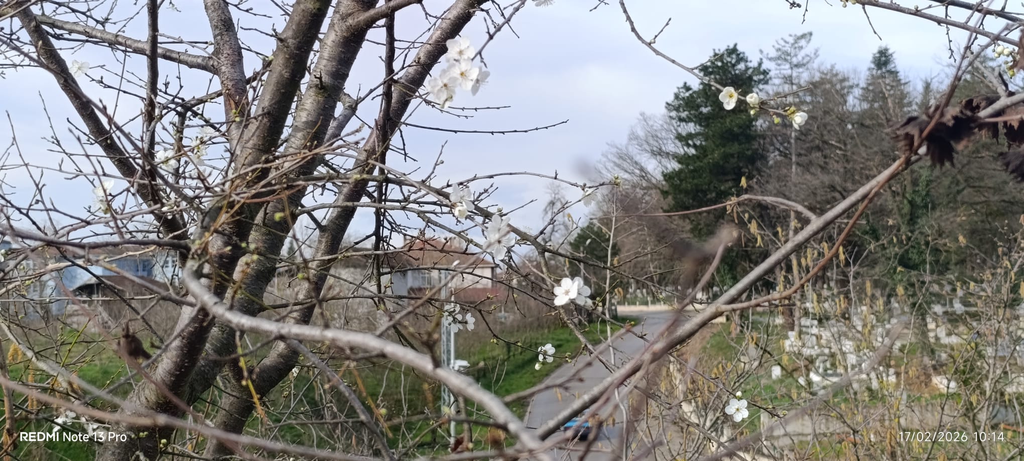 Whatsapp Image 2026 02 17 At 10.16.54