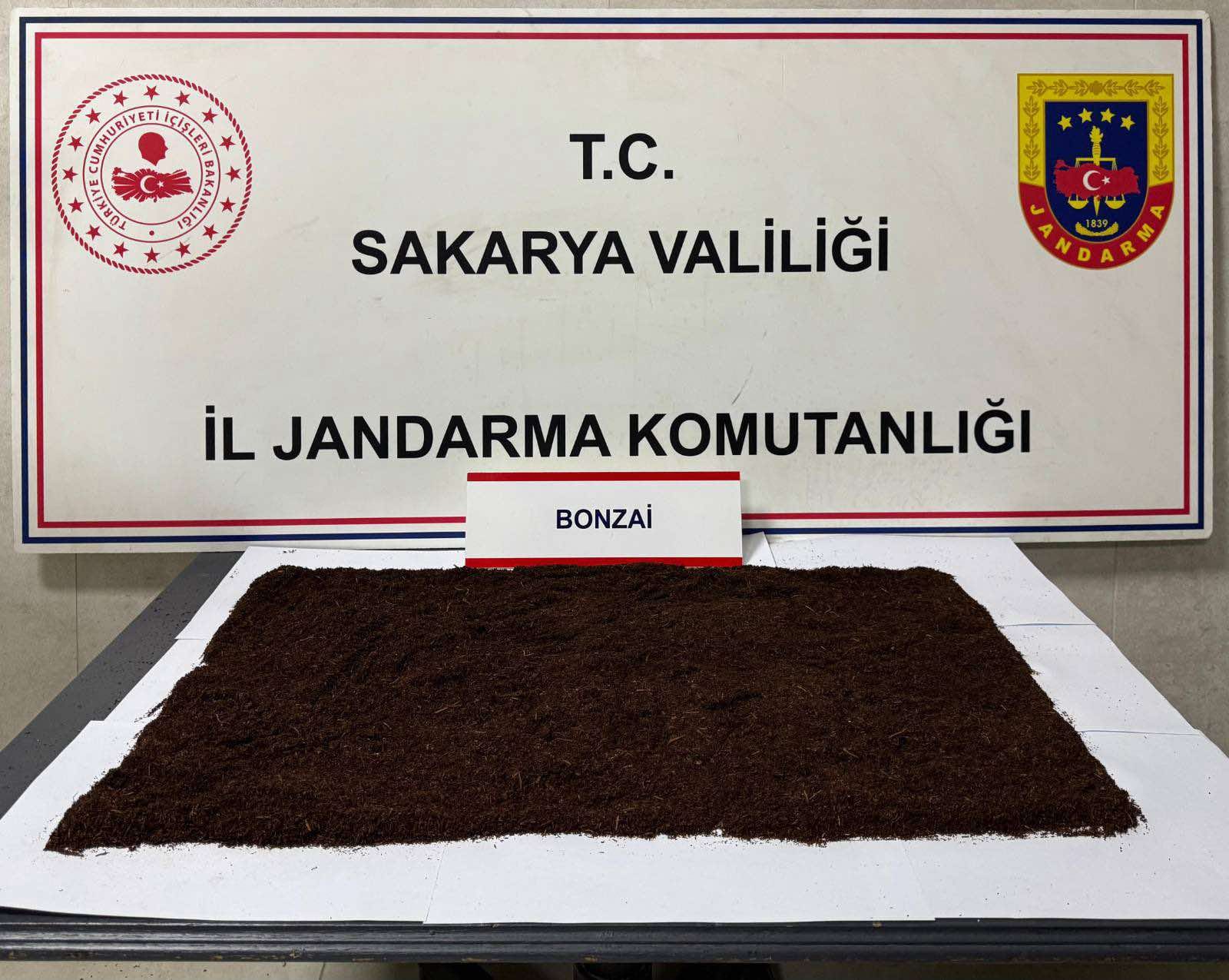 Whatsapp Image 2026 02 20 At 12.03.59