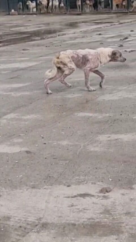 Whatsapp Image 2026 02 28 At 16.22.45 (1)