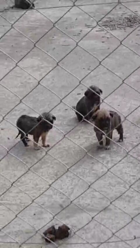 Whatsapp Image 2026 02 28 At 16.22.45 (2)