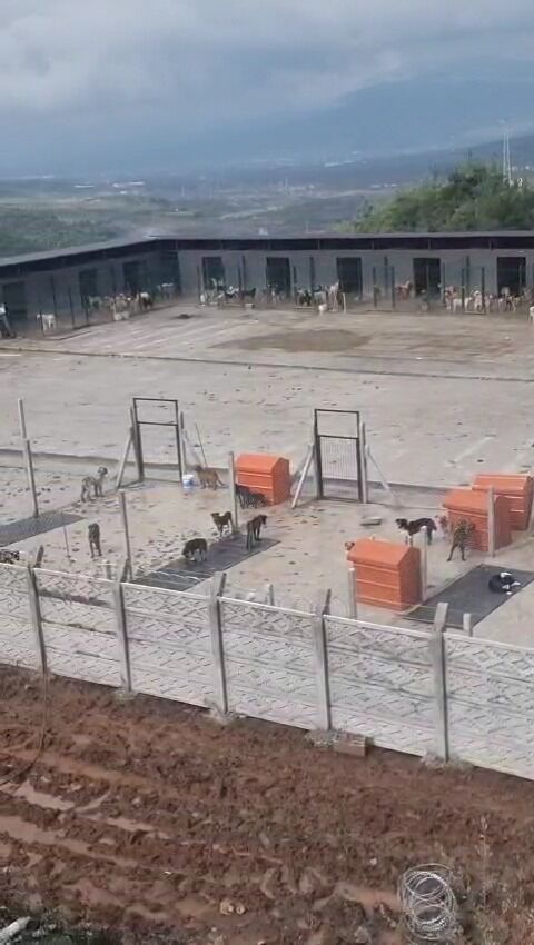 Whatsapp Image 2026 02 28 At 16.22.45