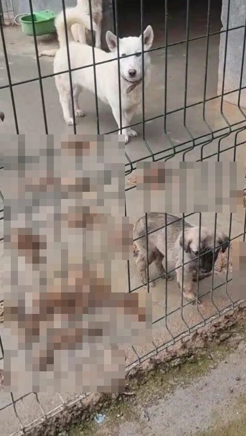 Whatsapp Image 2026 02 28 At 16.22.46 (1)