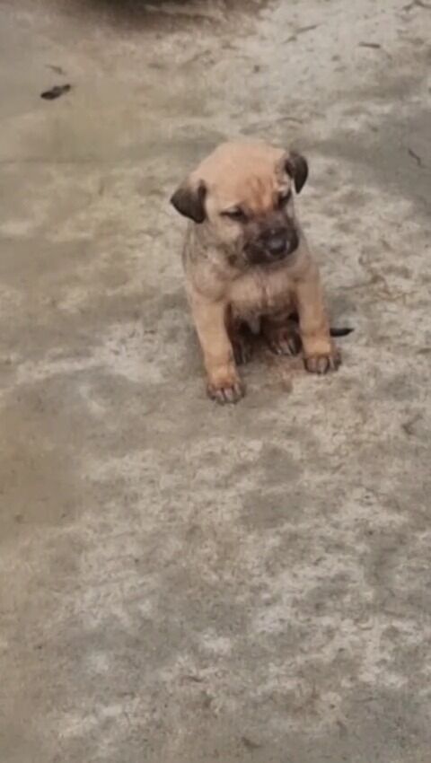 Whatsapp Image 2026 02 28 At 16.22.46 (2)