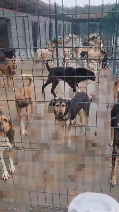 Whatsapp Image 2026 02 28 At 16.22.46 (3)