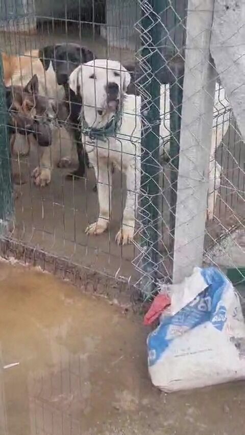 Whatsapp Image 2026 02 28 At 16.22.47 (1)