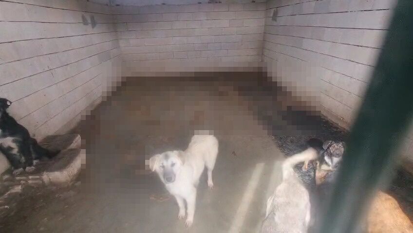 Whatsapp Image 2026 02 28 At 16.22.47