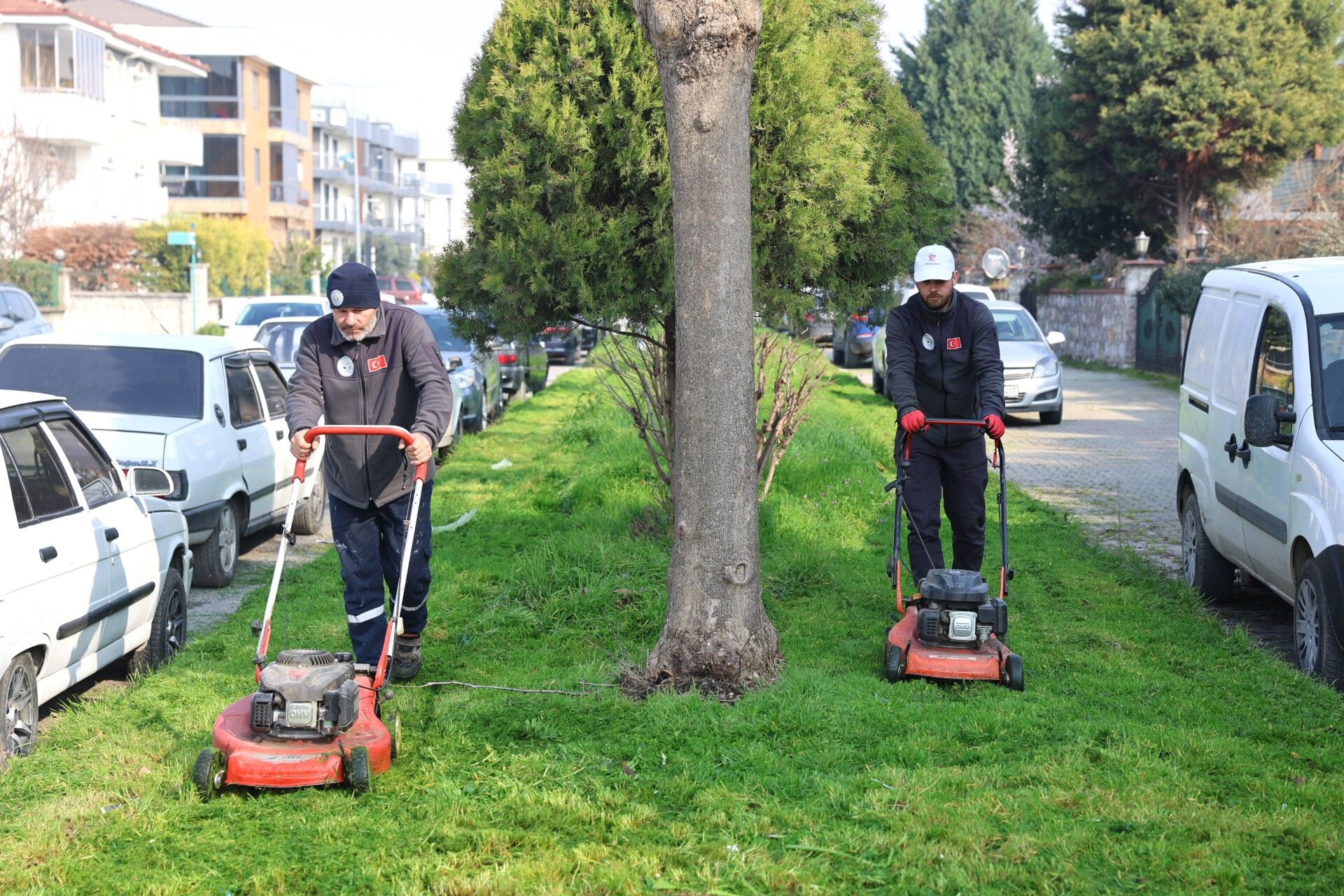 0495E87E 02E7 4A4A 8E04 04Cffab29Da2