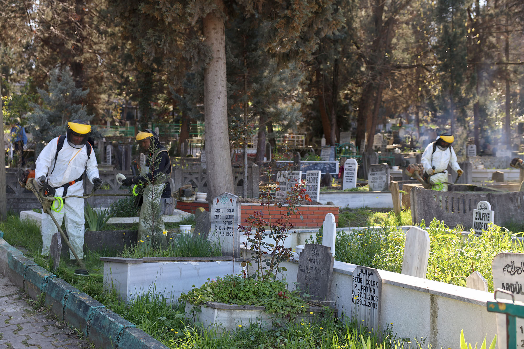 2Eaf4Af3 B789 4174 B5Ee 0C45Cf15Cec9