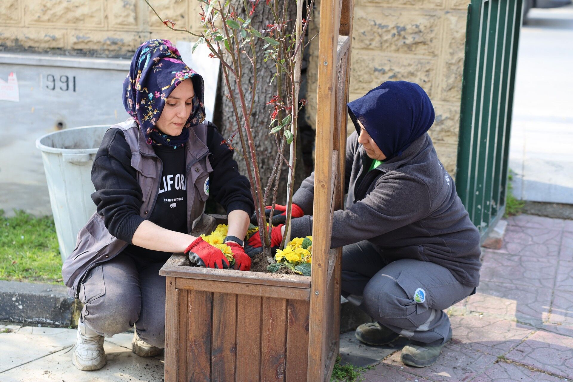 3938A993 458F 40A3 91C0 B8126D168C38