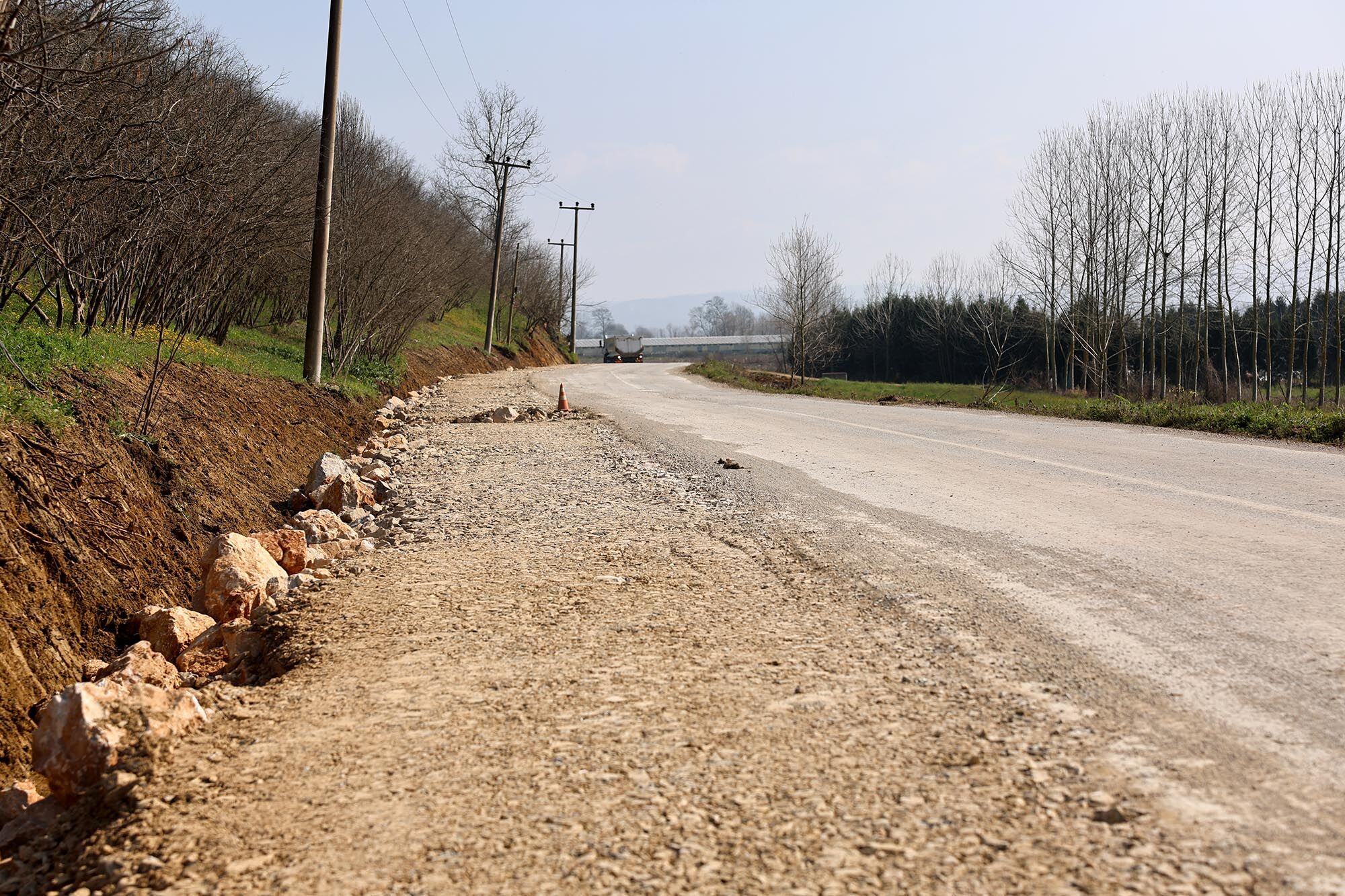 3Ee2D9F6 5499 4Ad4 B1Ab 161E9E8Cb616