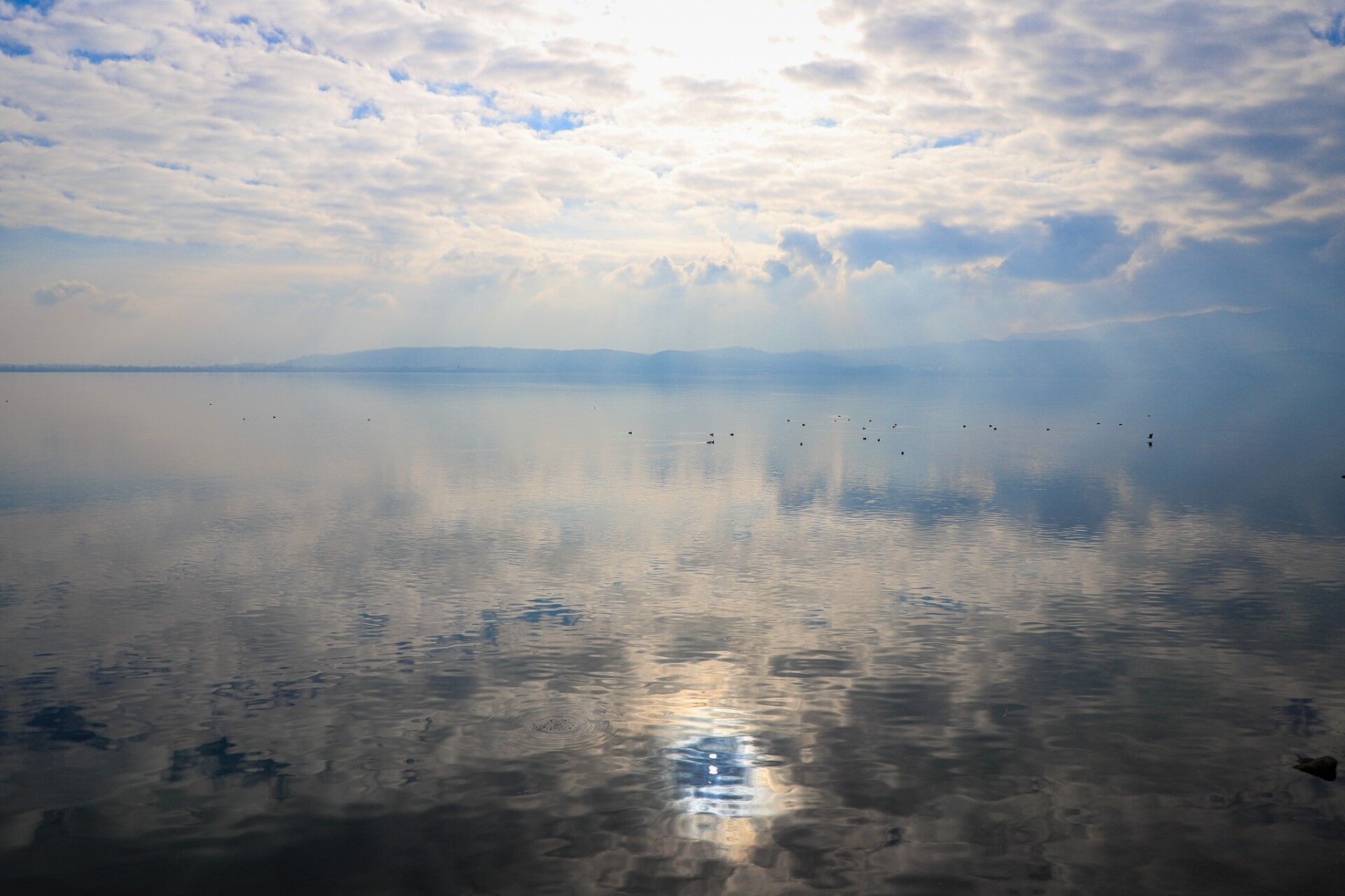 5679A179 Dcb0 4C45 917E 659C18879Ca5