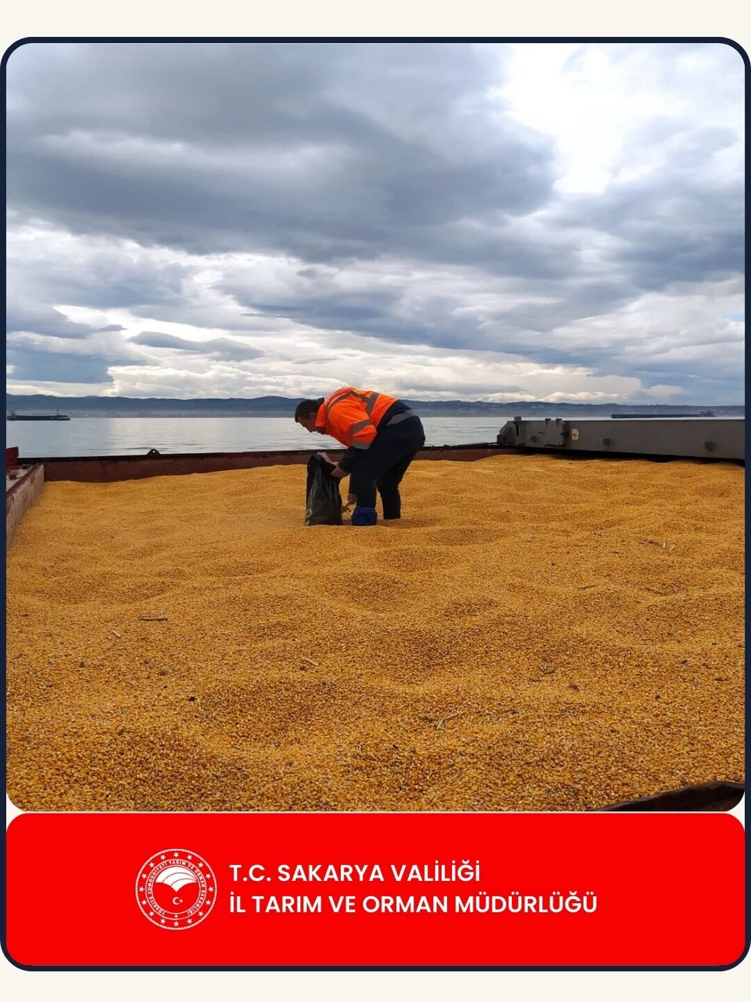 643559941 18094333952087661 3283908929913664062 N