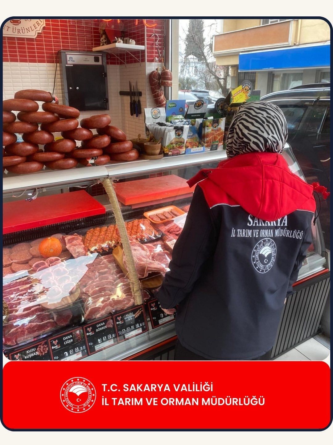 648172157 1262181112761487 4240571408103824210 N