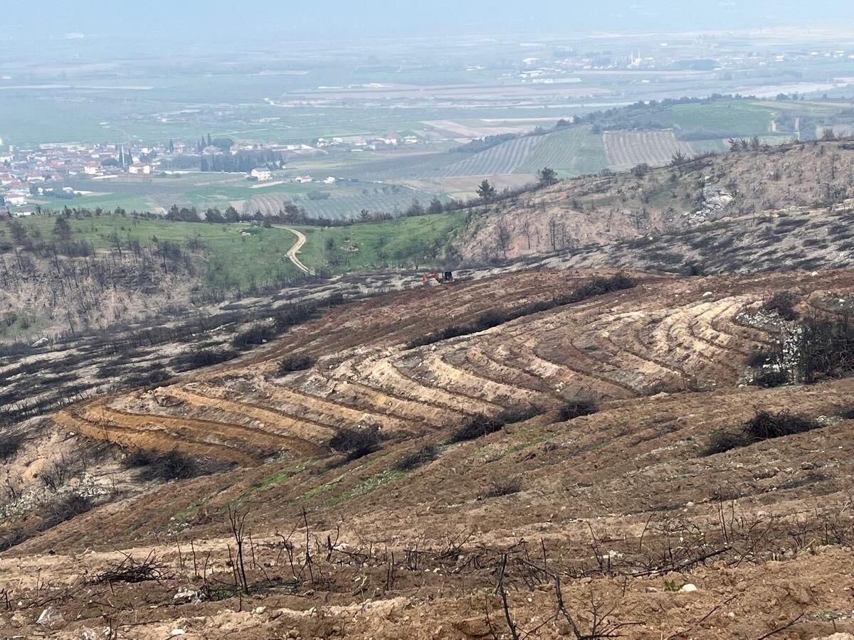 648681314 18077350493576136 6285478679838722897 N