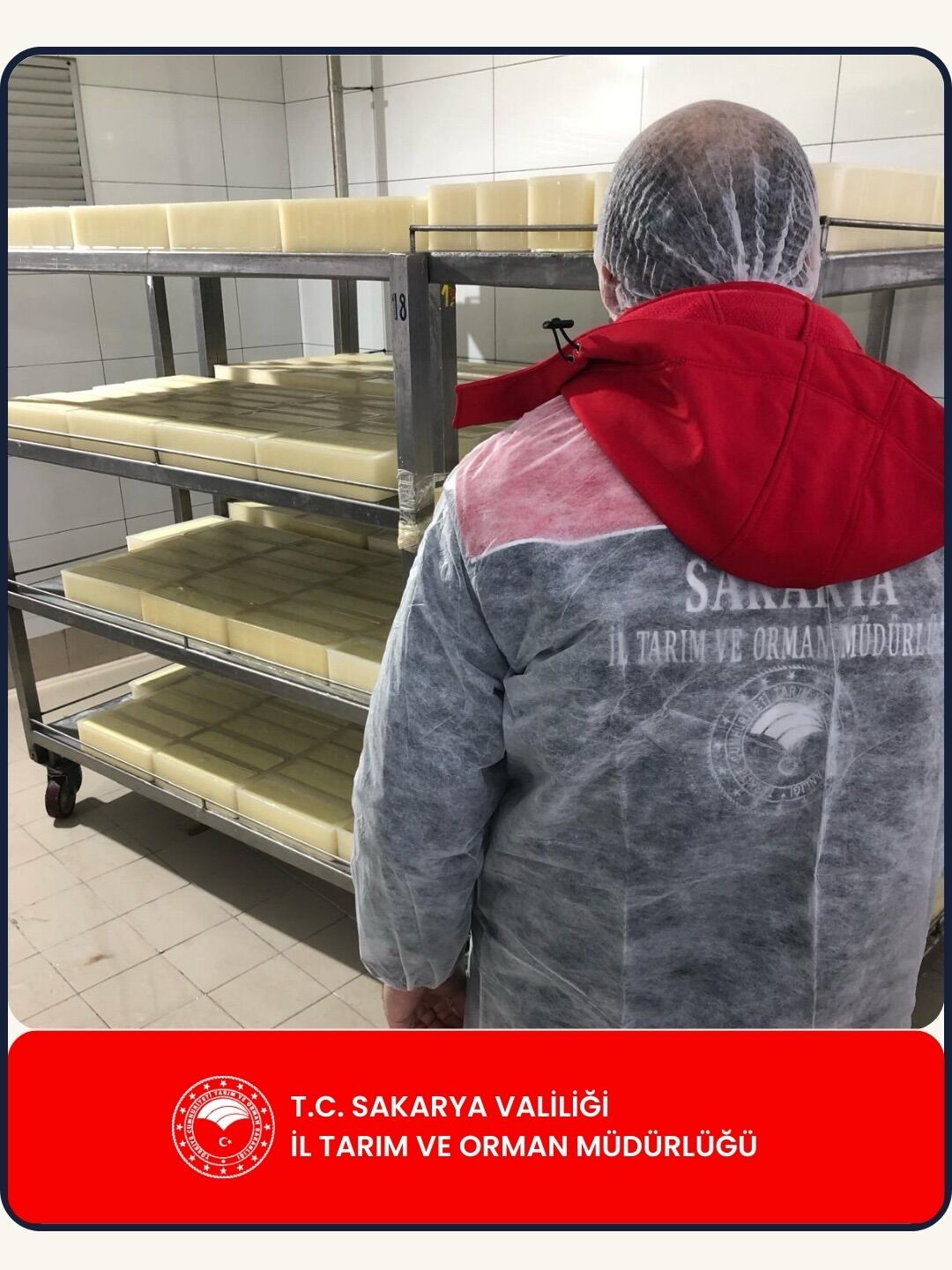 649140443 18094337879087661 2401489466783001872 N