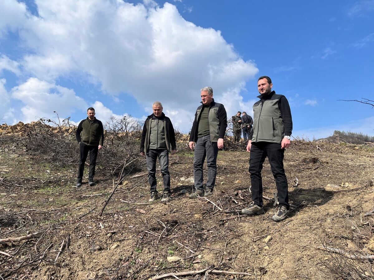 649212531 18077350448576136 6339314872709293362 N