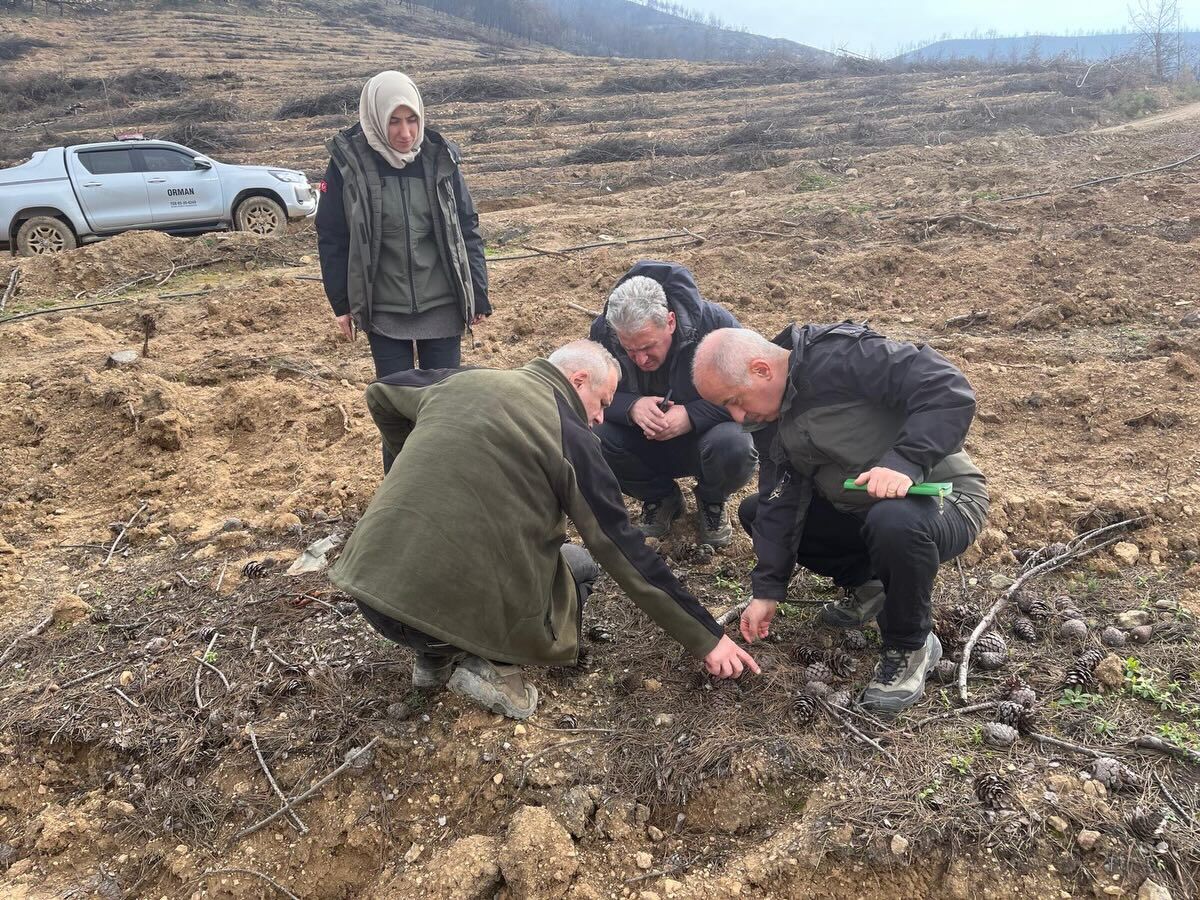 649217945 18077350412576136 950062393562397029 N