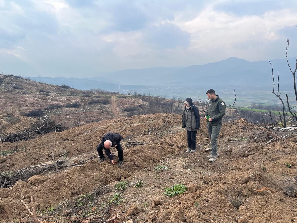 649223220 18077350466576136 1305219448297866666 N