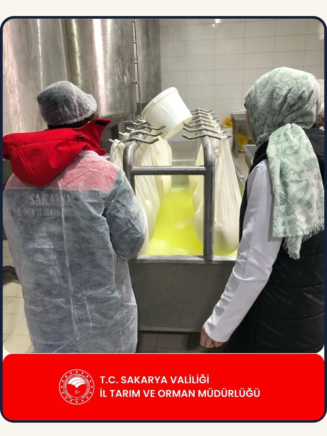 649237501 18094337870087661 5963324469918966536 N