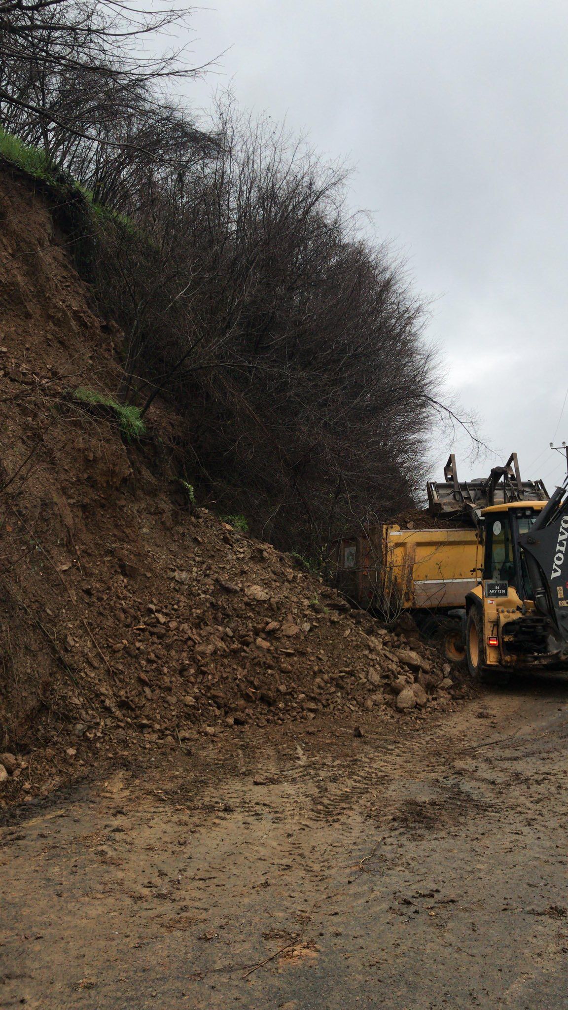 656516632 4386165224958475 6024198572533832897 N