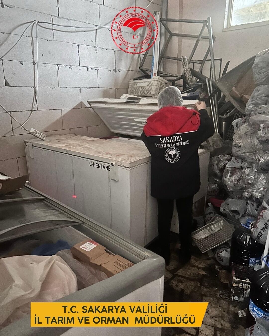 656825348 18096931385087661 2380450364451130183 N