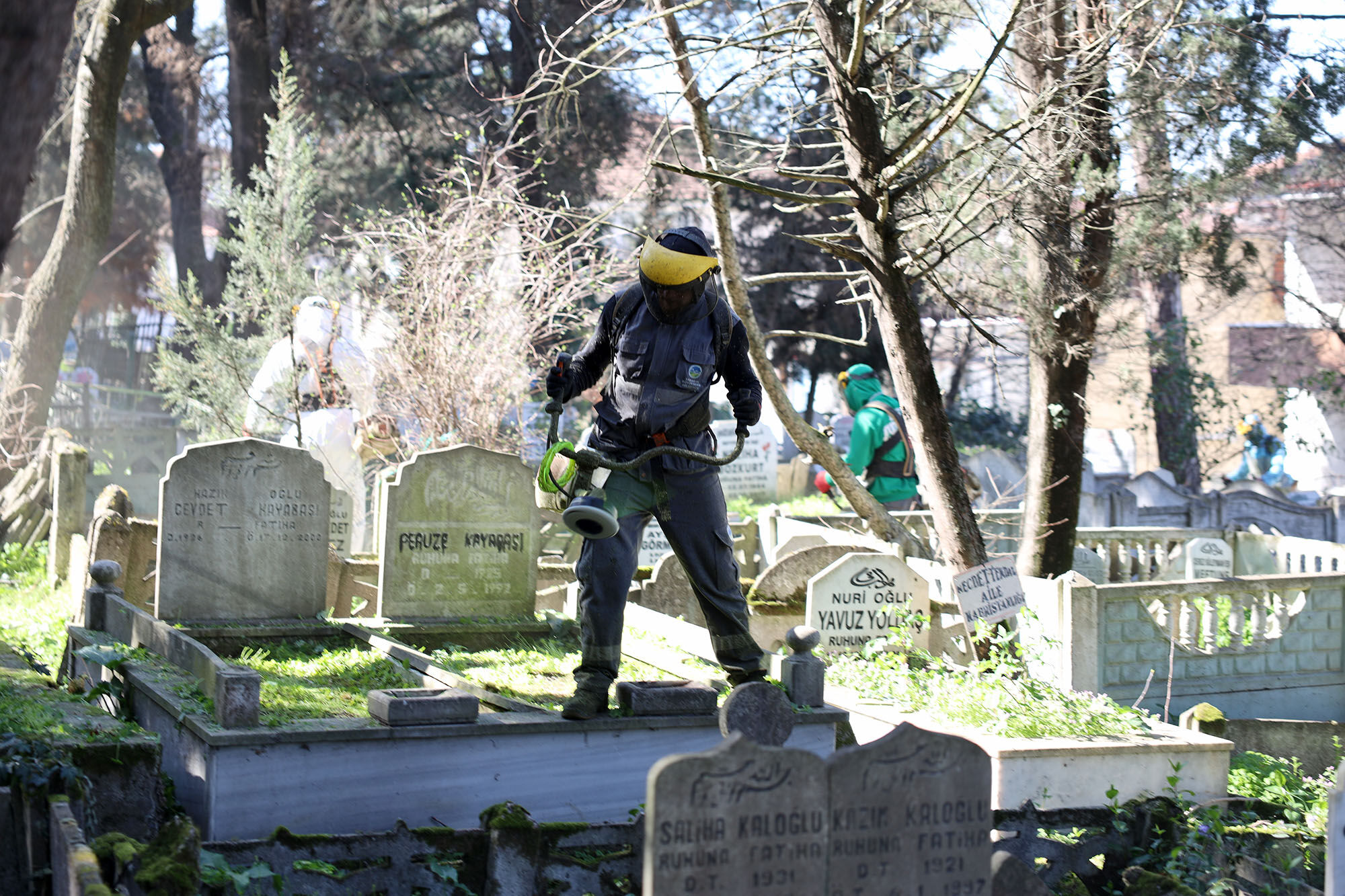 6Fad7A75 67Bf 4576 896C 7Dbab9711A7B