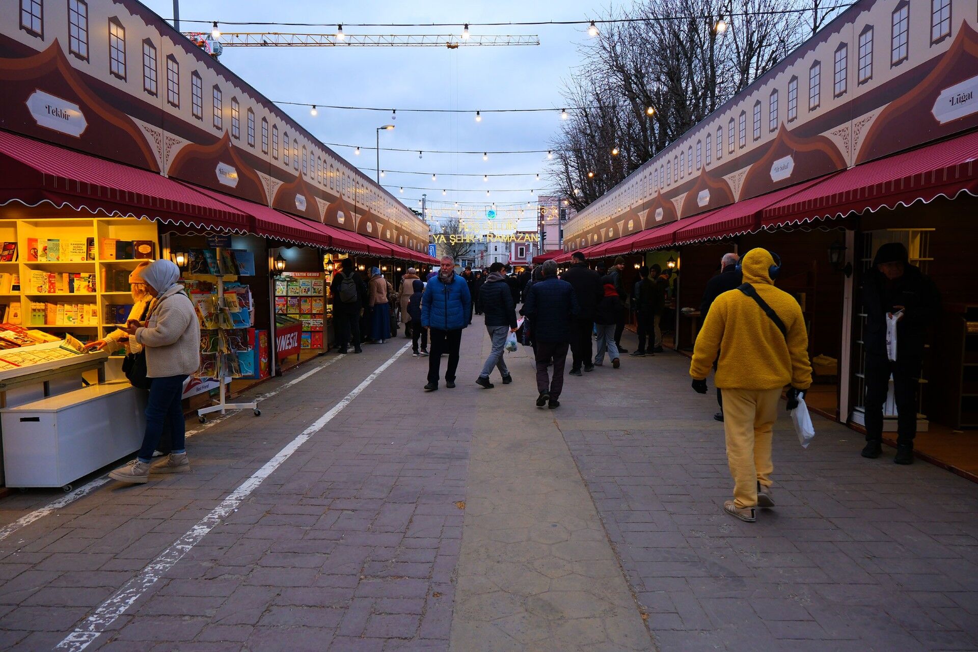 7D6E3Fdb 1805 47B0 8Fc6 9Ccd31F7Bbf2