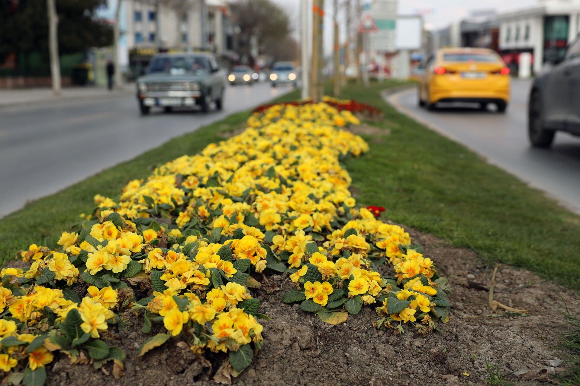 C87F2835 6216 43Ba B41D 9A73Ffa31B1F