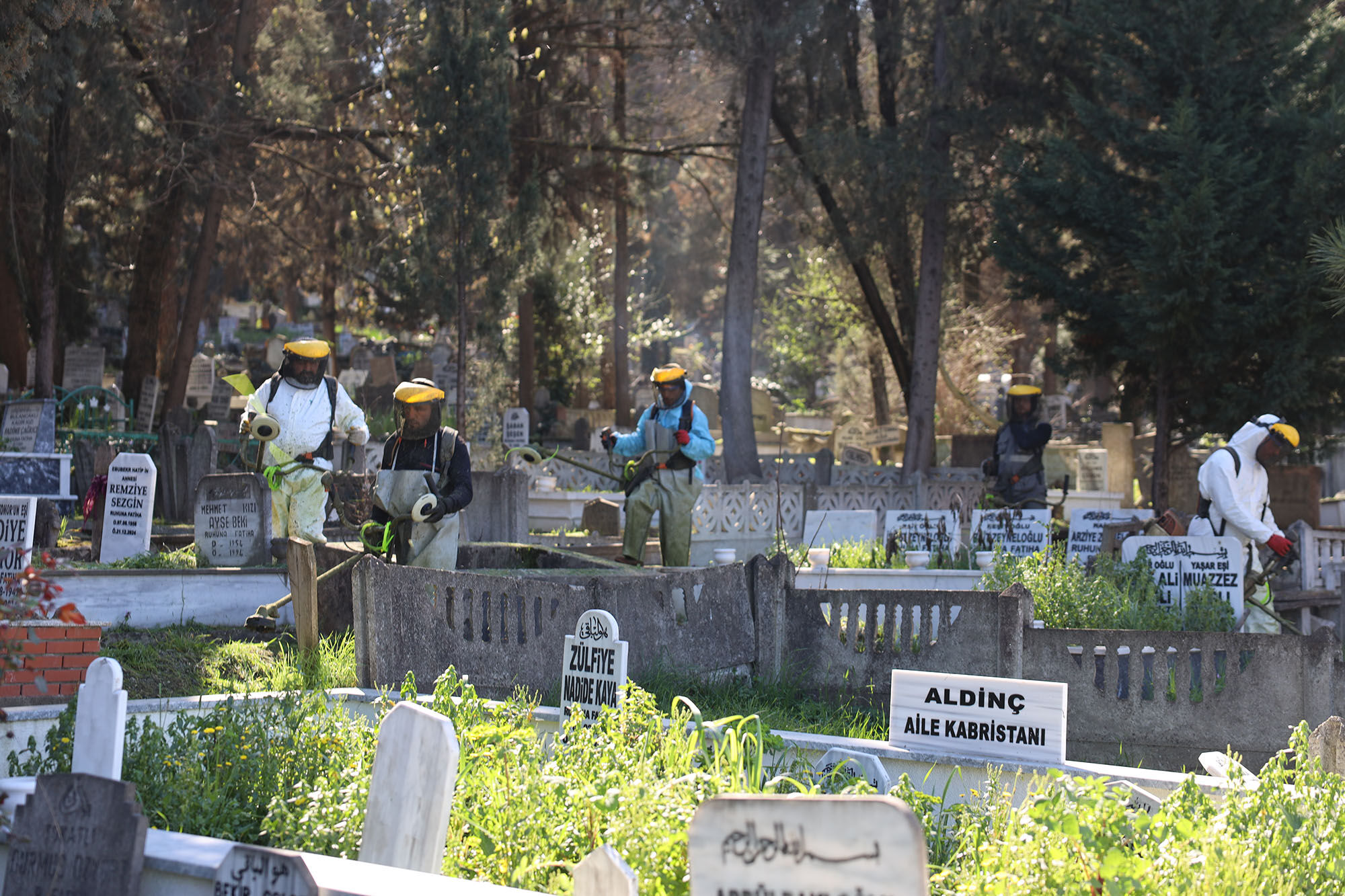 D9Fb0375 204D 446F 9147 F9441174Dff5