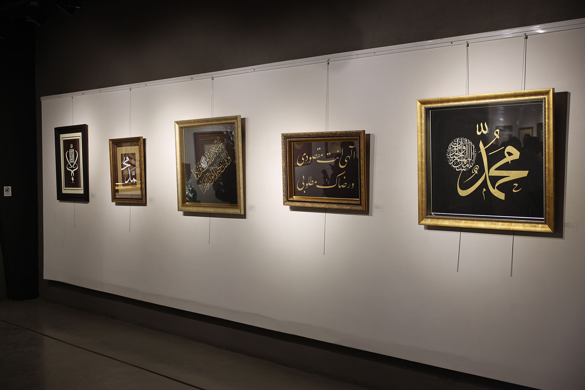 Ddb8B8Bd 7Cd8 4632 897F C1023Ba5D6A0