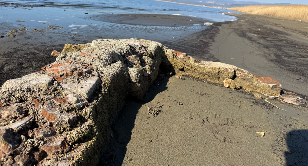 Ekran Görüntüsü 2026 03 08 082522