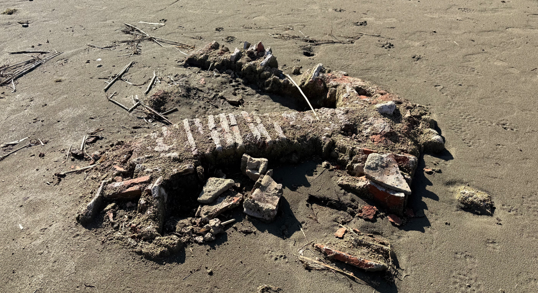 Ekran Görüntüsü 2026 03 08 082529