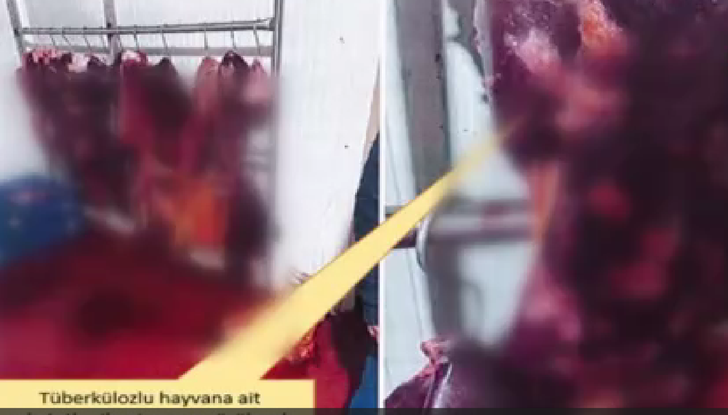 Ekran Görüntüsü 2026 03 31 183859