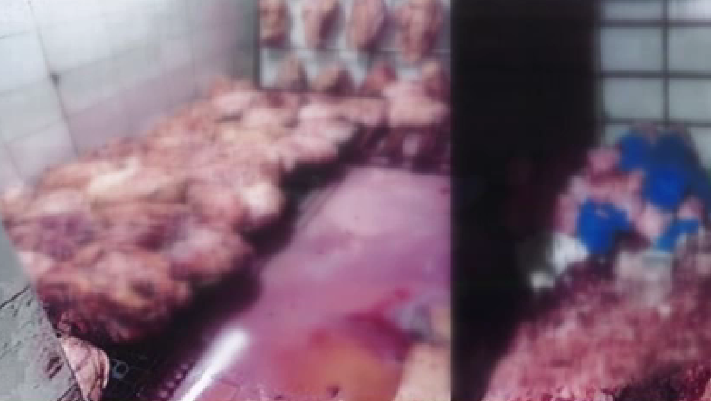 Ekran Görüntüsü 2026 03 31 183924